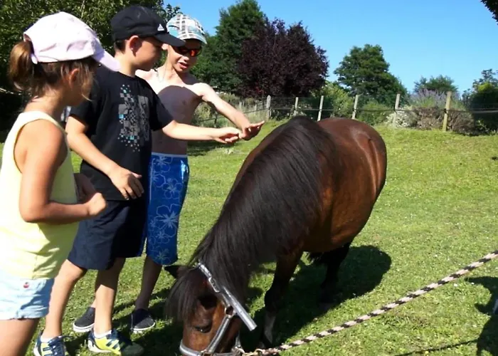 Confortable Avec Terrasse - 7 Pers. - Api-1-52-1940 Camping
